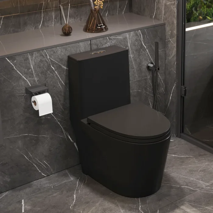 1.1 1.60 Gpf Dual Flush One Piece Toilet, Water Saving Elongated Comfort Height Floor Mounted, Soft Close Seat, 1000 Gram Map Flushing Score Toilet, Matte Black 23T01 Mb 1 Black Ceramic