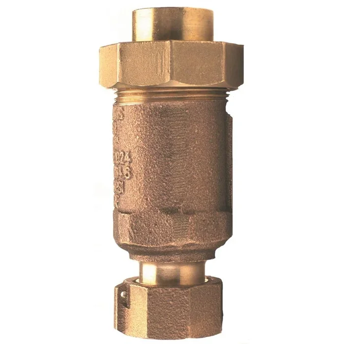 3/4 in. FNPT Inlet and Outlet Lead-Free Dual Check Valve