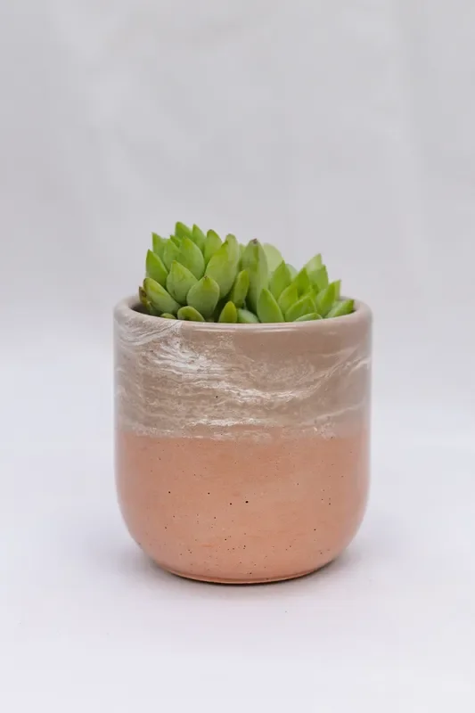 3.5″ Tulip Planter