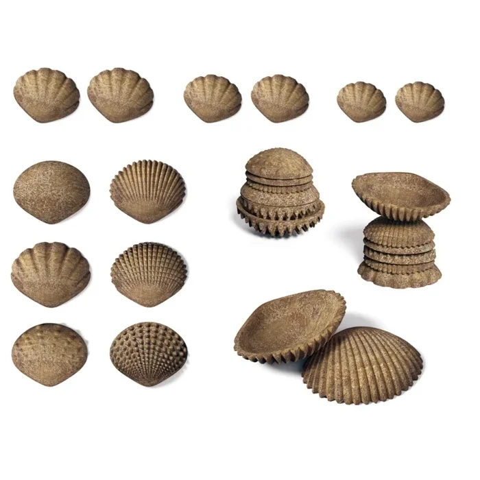 36Ct Tactile Shells Ages – 18M+