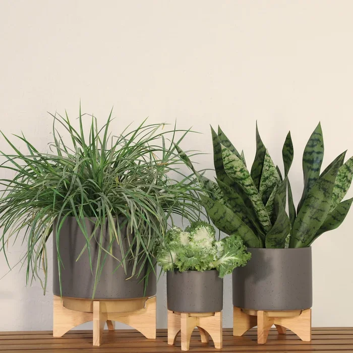 5″ Planter W Wood Stand, Matte Gray Gray Ceramic