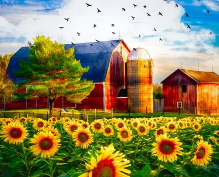 “SUNFLOWERS AND THE BARN” DIGITAL PANEL – AL-3890-0C-1 Multi – App. 35.5″ x 44″ – Art Licensing by David Textiles