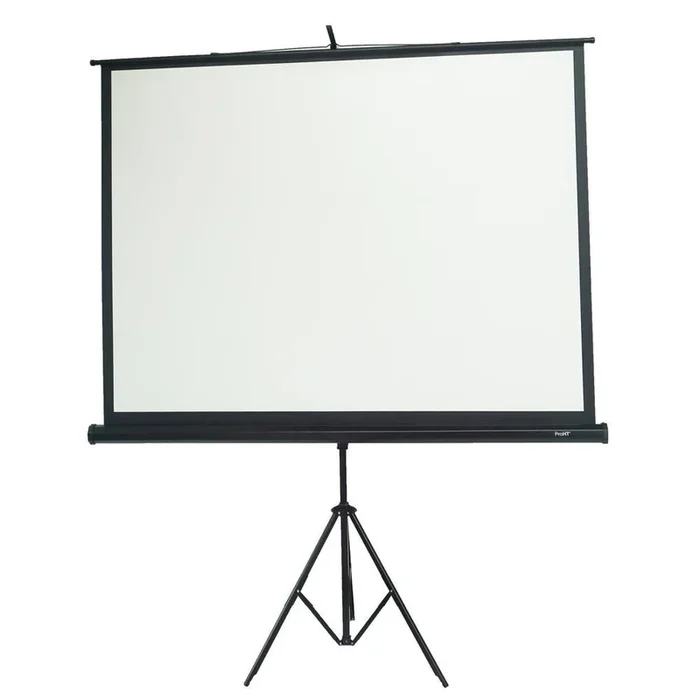 84 in. Portable Projection Screen