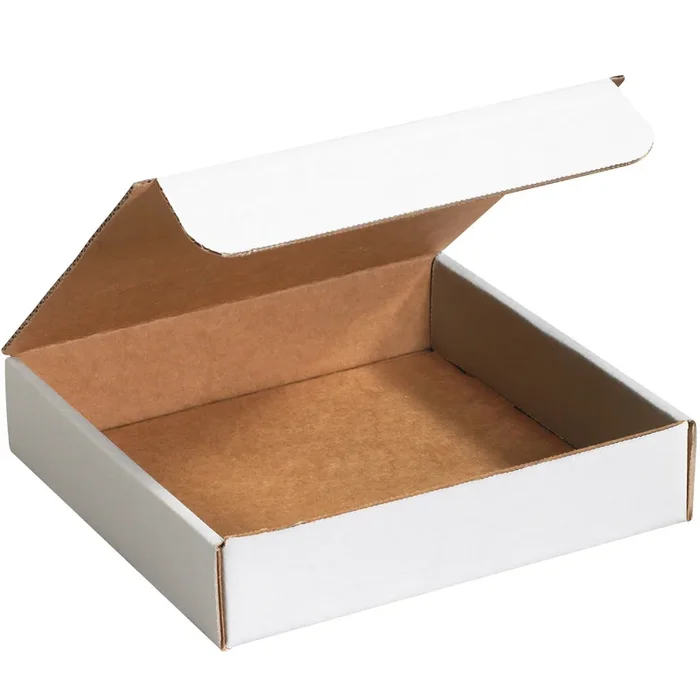9 x 6 1/2 x 2 3/4 White Literature Mailers 50/Bundle