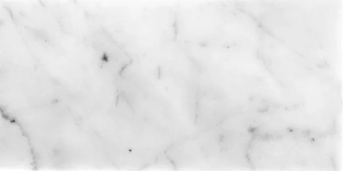 Apollo Tile White 3-in x 6-in Honed Natural Stone Marble Mixed Pattern Floor and Wall Tile (5-sq. ft/ Carton)