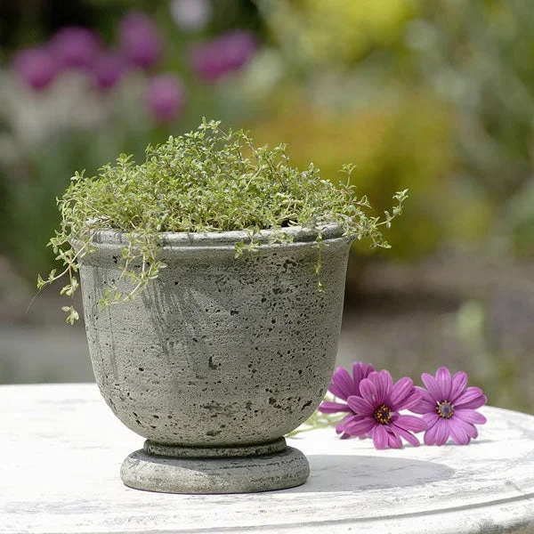 Arles Planter Campania International