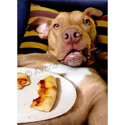 Avanti Press Dog Pizza Plate Birthday Card Paper 2 pc