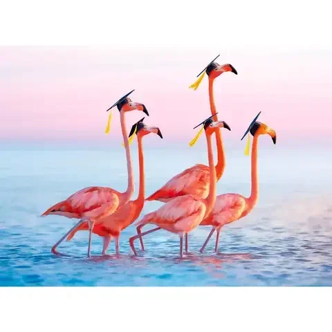 Avanti Press Seasonal Flamingo Grads Graduation Card Paper 2 pc