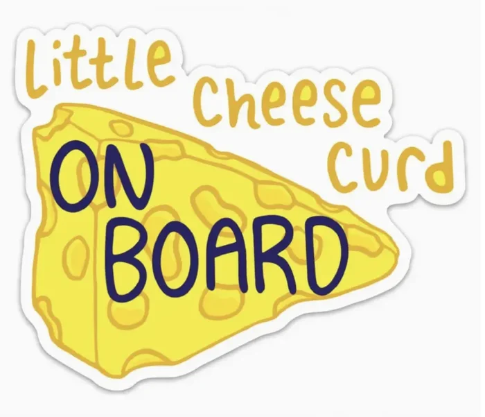 Baby on Board Vinyl Cheese Magnet