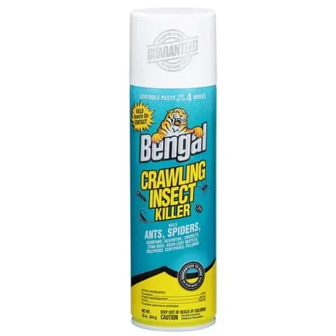 Bengal Crawling Insect Killer Aerosol 16 oz
