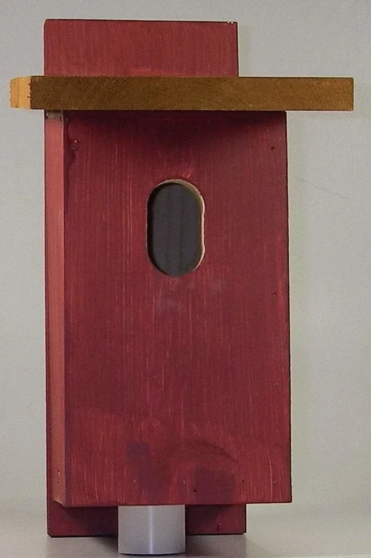 Bird House – Bluebird Square
