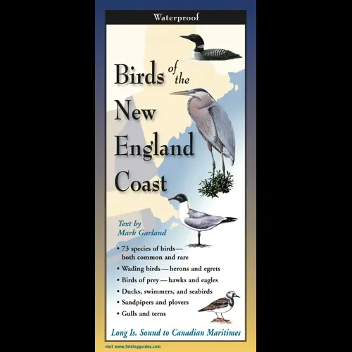 Birds of the New England Coast, Folding Guide