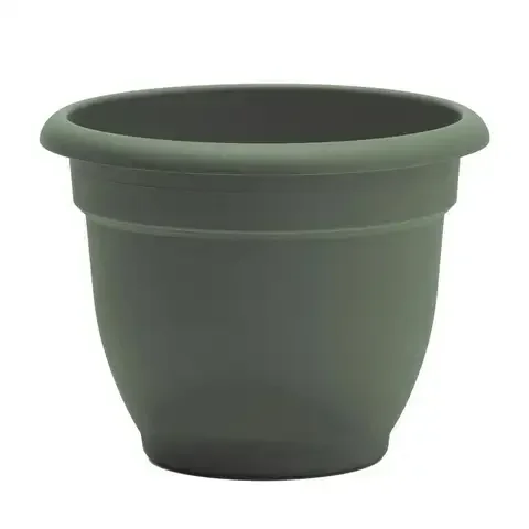 Bloem Ariana 8.5 in. H X 11 in. W X 10 in. D Plastic Traditional Planter Basil
