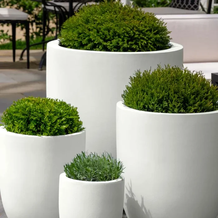 Bradford Planter, Large S/1 Campania International