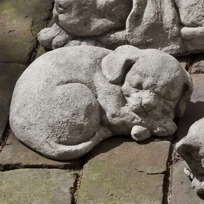 Campania Curled Dog Small