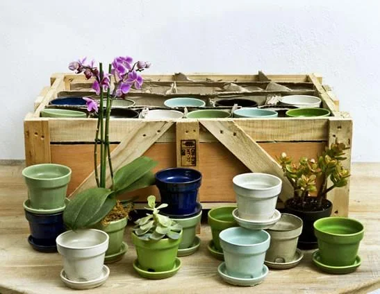Campania International Glazed Terra cotta Garden Terrace Crate of 48