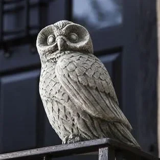 Campania Night Owl