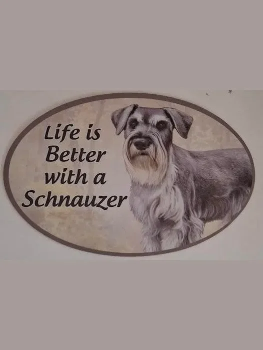 Car Magnet Schnauzer Uc Dog 1001-105