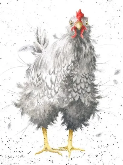 Card – ACS036 – Curious Chicken