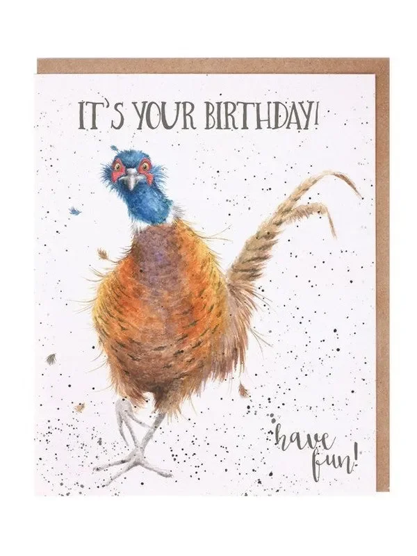 Card – AOC020 – Its your Birthday – have fun – pheasant