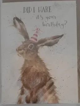 Card Aoc111 Birthday Hare Rabbit