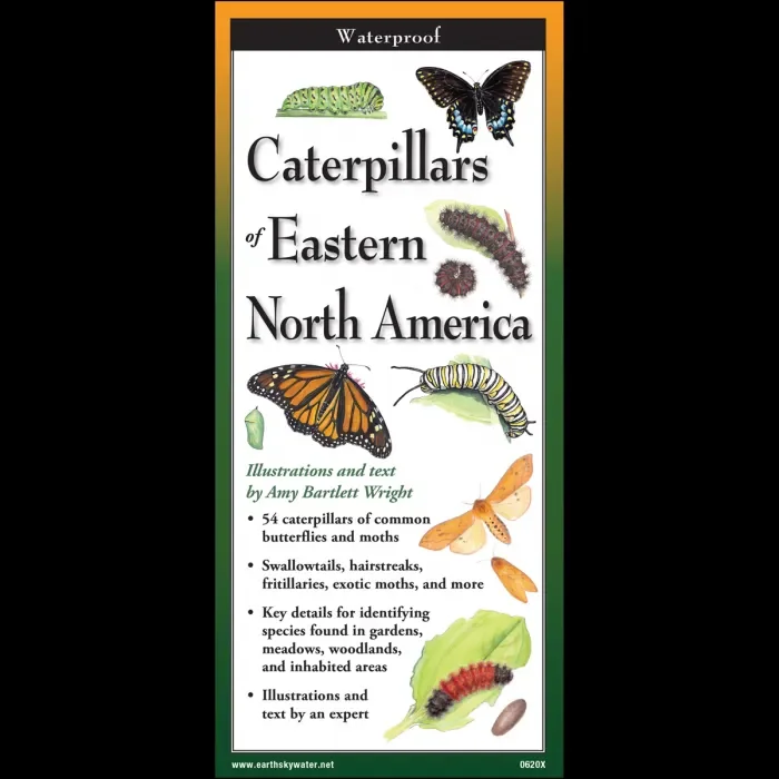 Caterpillars of Eastern North America, Folding Guide