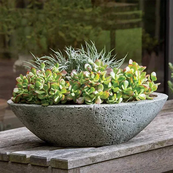 Celine Planter Campania International
