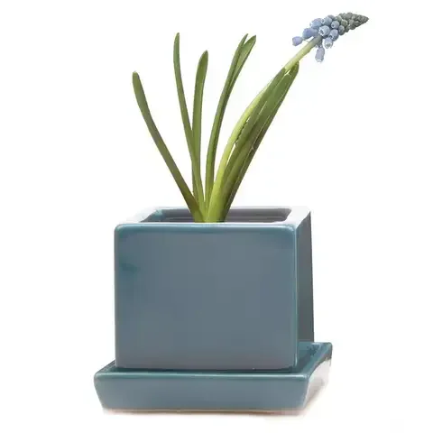 Chive Cube and Saucer 3 in. D Ceramic Succulent Pot Hydro Blue