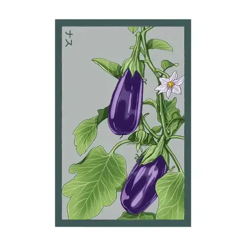 Chive Shido Seed Co. Eggplant Seeds 1 pk