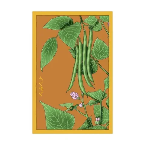 Chive Shido Seed Co. Green Bean Seeds 1 pk