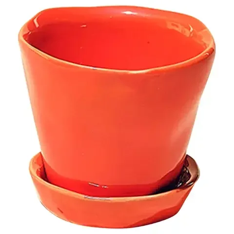 Chive Tika 3 in. D Ceramic Succulent Pot Orange