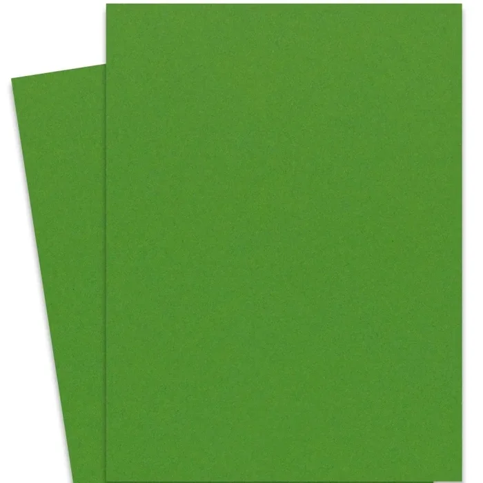 [Clearance] Extract – Cactus (28.3-X-40.2) Full Size Cardstock Paper 380 Gsm (140Lb Cover)