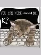 Coaster 02-01987 Cat Work Around Me 4×4
