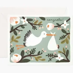 Congrats Stork Card