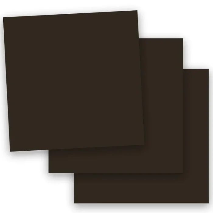 Curious Skin Mocha 12×12 Card Stock Paper – 100lb Cover, 50 Pack
