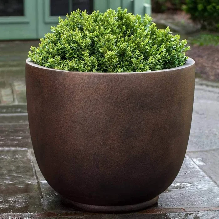 Danilo Planter, Small Campania International