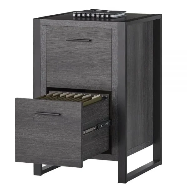 Dejori 20”D Vertical 2-Drawer File Cabinet, Charcoal