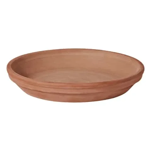 Deroma 1.2 in. H X 1.2 in. D X 9.3 in. D Clay Traditional Plant Saucer Chocolate