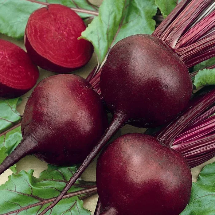 Detroit Dark Red Beet Seeds – Non-GMO Bulk Heirloom Seed for Growing Microgreens, Vegetable Gardening, Garden Salad Garnishes, More (4 Oz)
