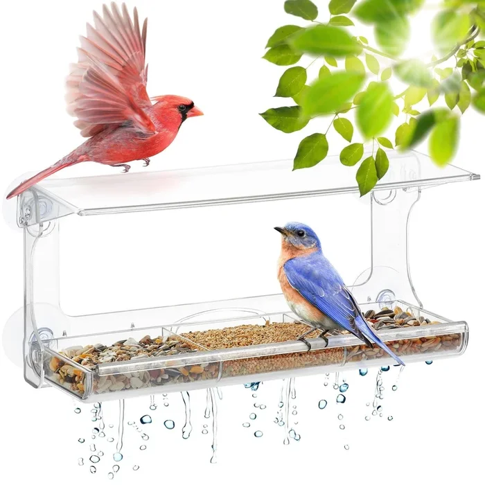 DF Omer Weatherproof Polycarbonat Window Bird Feeder with Strong Suction Cups, Drainage Holes, and 3-Sectioned Removable Tray – 11.6×4.3×5.7 in. Bird Watching Gifts for Up-Close, Indoor Bird Watching