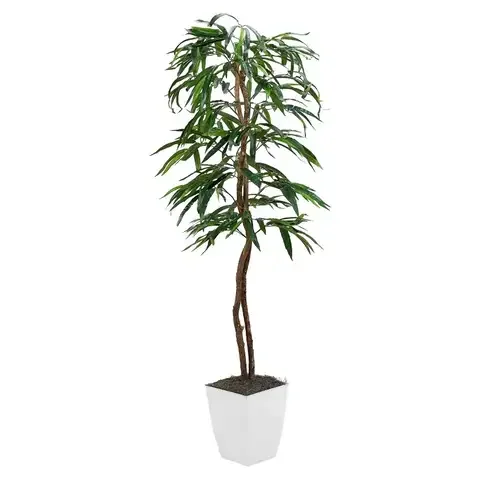DW Silks 72 in. H X 30 in. L Polyester Weeping Ficus Tree in White Planter