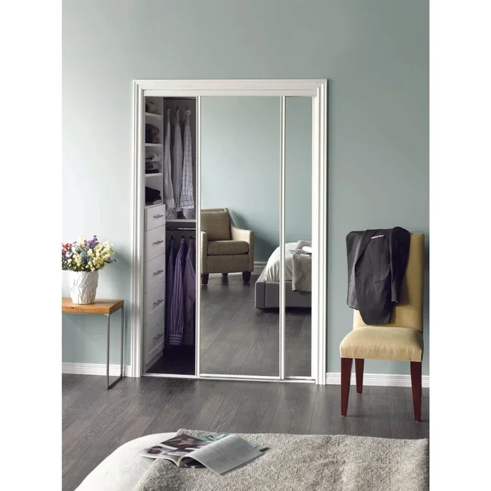 Erias 60 in. W X 3 mm T Mirrored Sliding Door