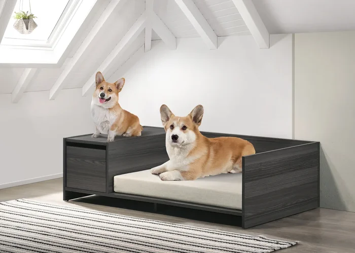 Esme Ash Gray 47″ Wide Modern Comfy Pet Bed With Cushion And Side Storage Compartment Dark Gray Particle Board