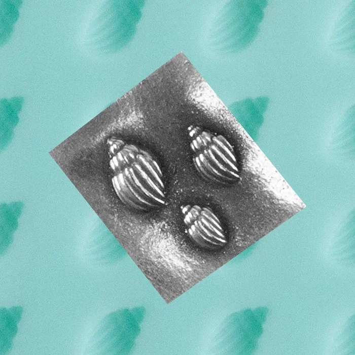 Finishing Touches Mold – Conch Shell