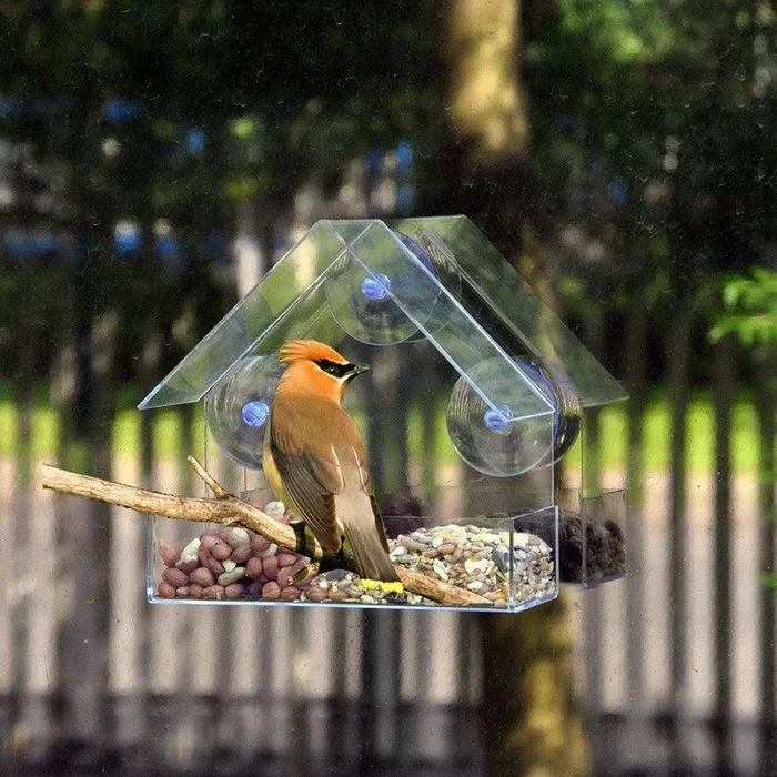 〖Follure〗Clear Glass Window Viewing Bird Feed Hotel Table Seed Peanut Hanging Suction