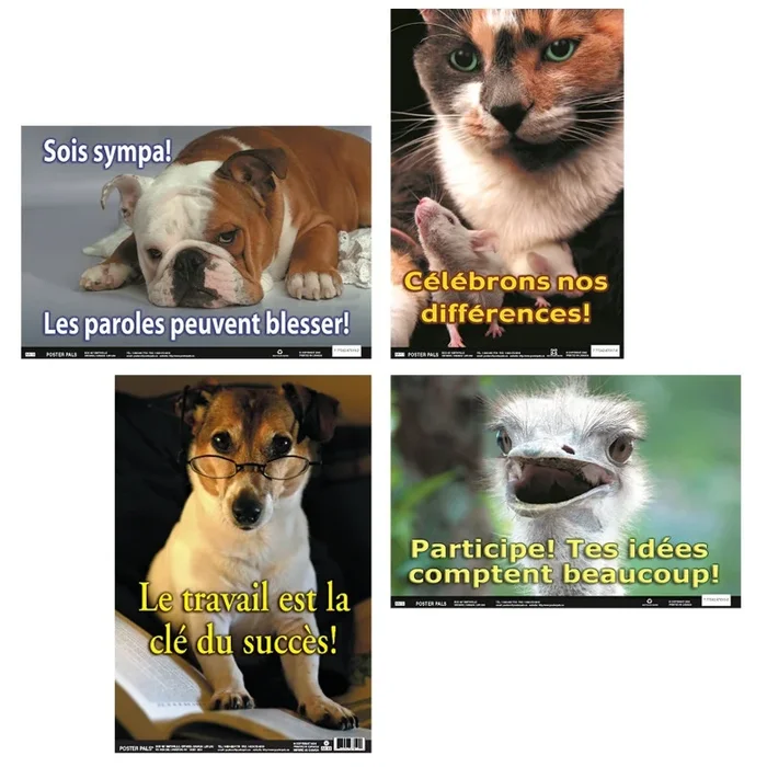 Fun Photo Posters Set #10 French