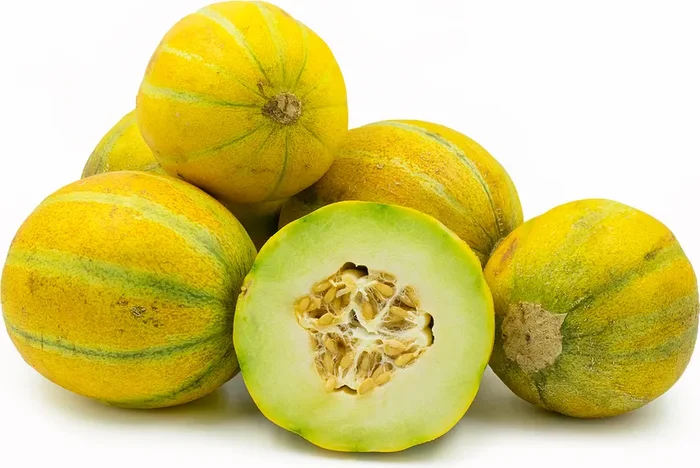 Ha’Ogen Melon