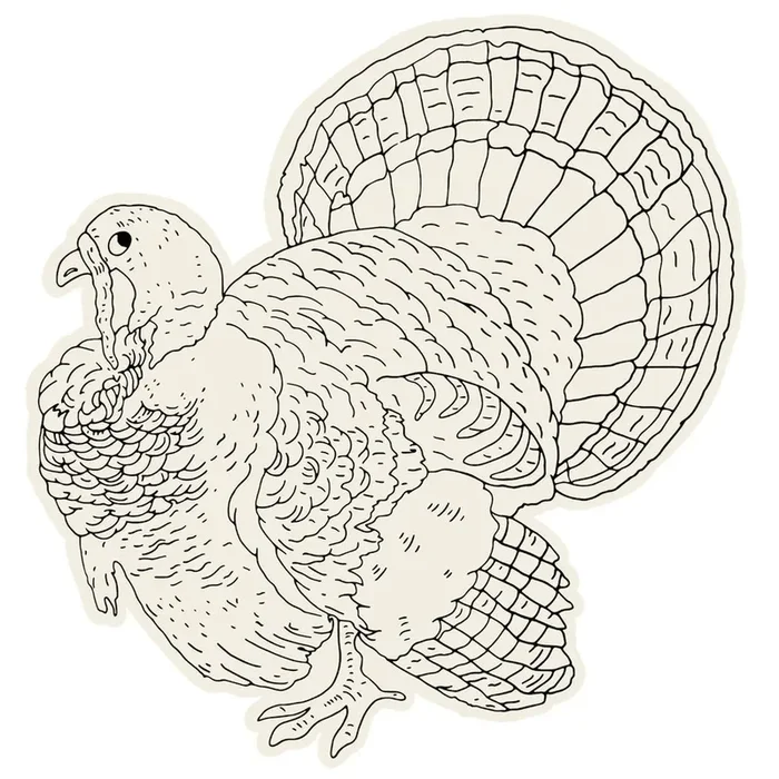 Hester & Cook – Coloring Die-Cut Turkey Placemats