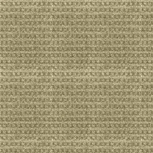 Home & Office Regency Putty Needlebond Carpet (Indoor)