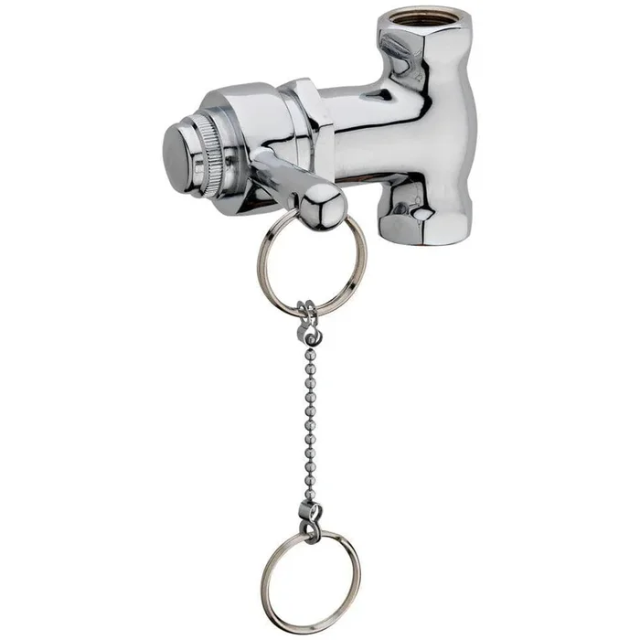 Homewerks Worldwide Self-Closing Shower Valve with Pull Chain, Chrome